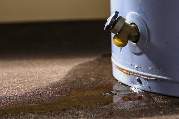 Best Water damage repair service  in La Presa, CA