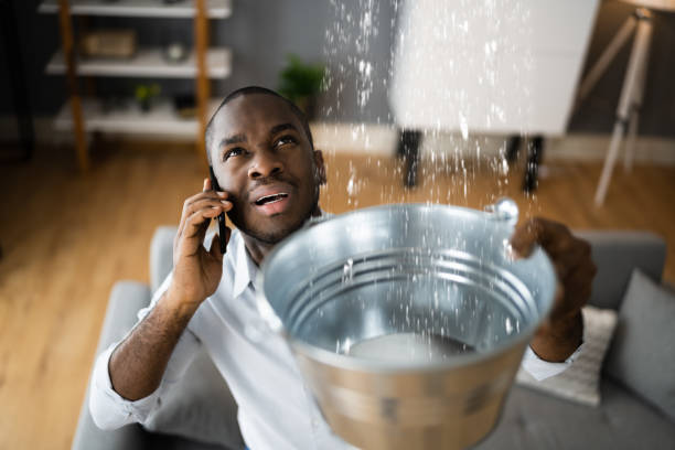 Best 24-hour water damage restoration  in La Presa, CA