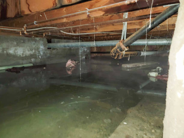 Water damage restoration insurance claims in La Presa, CA