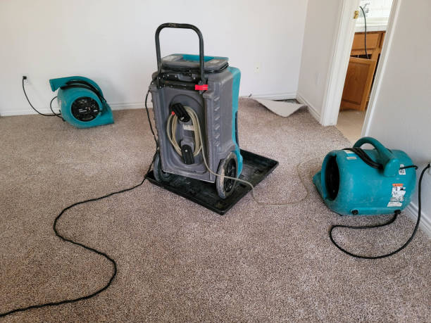 Best Water damage cleanup near me  in La Presa, CA
