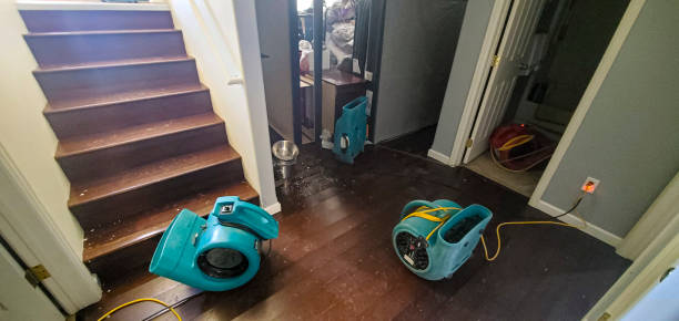 Best Flooded house restoration  in La Presa, CA