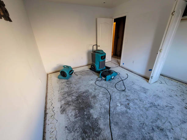 Best Fire Damage Restoration  in La Presa, CA