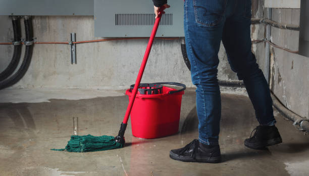 Best Fire Damage Restoration  in La Presa, CA