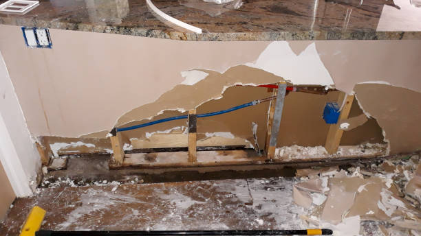 Best Commercial water damage restoration  in La Presa, CA