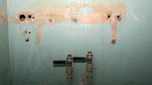 Best Water damage restoration near me  in La Presa, CA