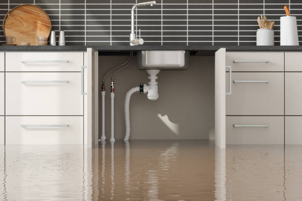 Best Residential water damage restoration  in La Presa, CA