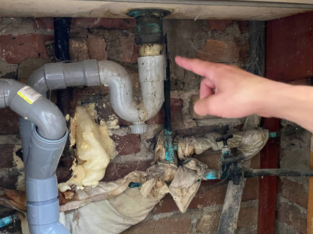 Best Water damage contractors near me  in La Presa, CA