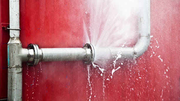 Best 24-hour water damage restoration  in La Presa, CA