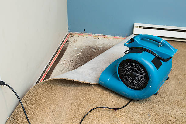 La Presa, CA Water damage restoration Company